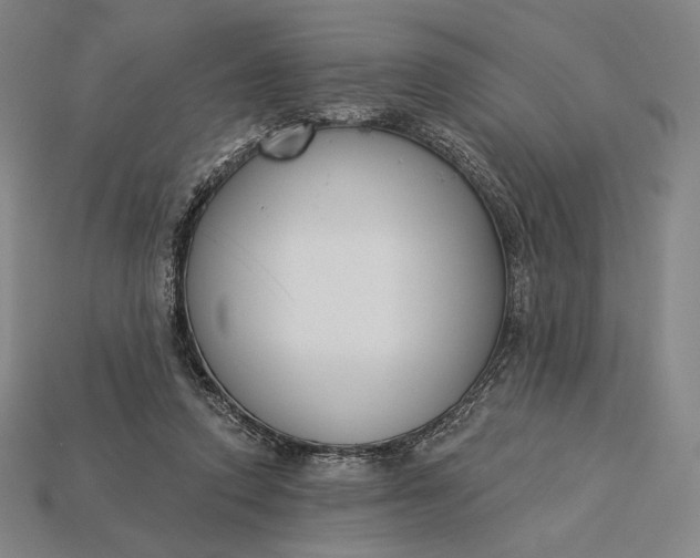 X0000115230354200911131648