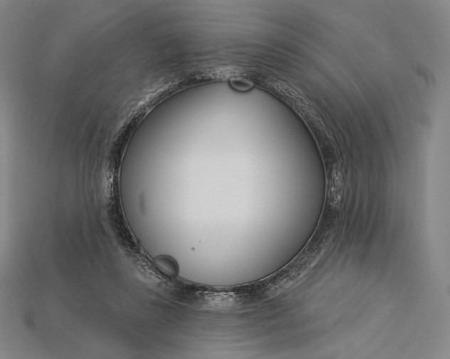 X0000115230355200911131648