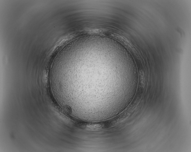 X0000115230357200911131648