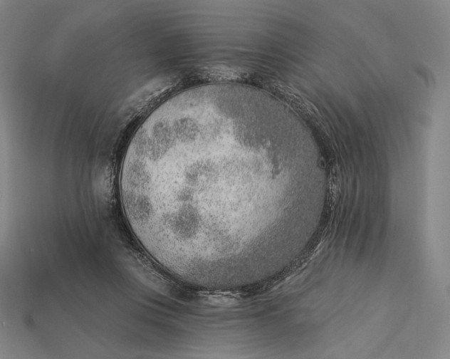 X0000115230359200911131648