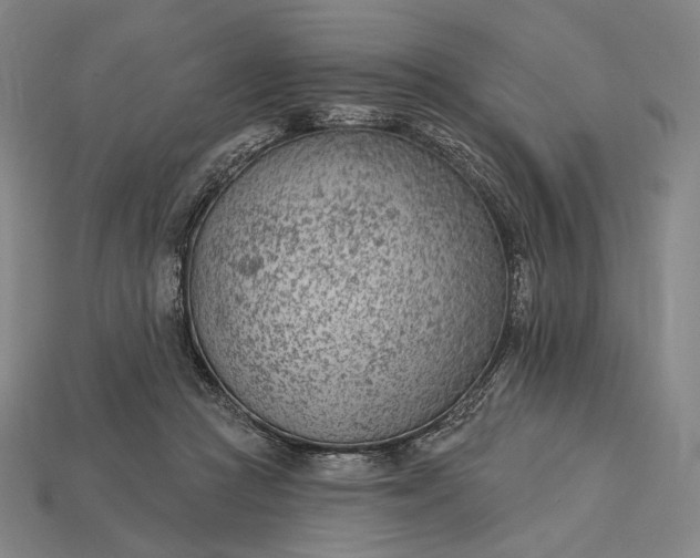 X0000115230361200911131648