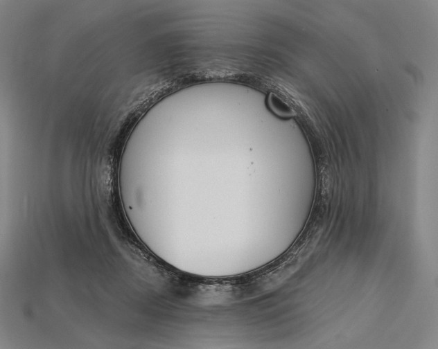 X0000115230362200911131648