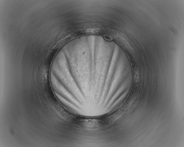 X0000115230363200911131648