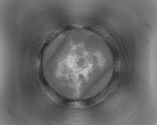 X0000115230365200911131648