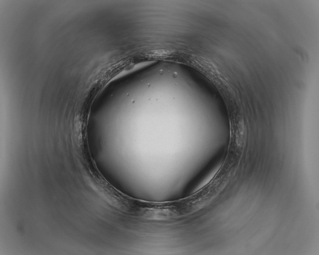 X0000115230366200911131648