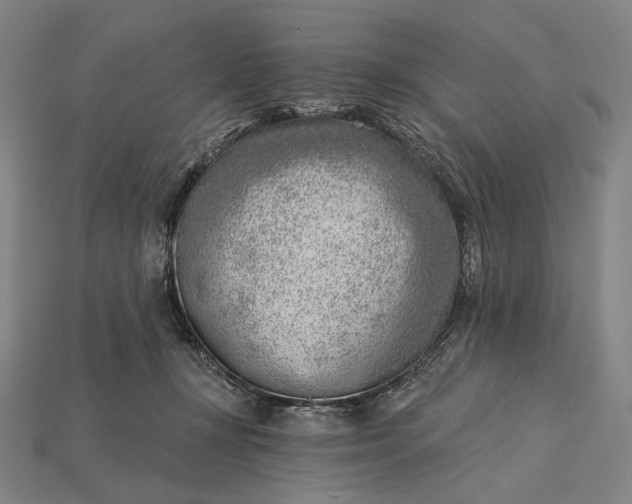 X0000115230367200911131648