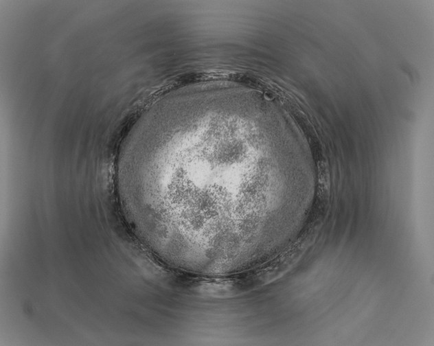 X0000115230369200911131648