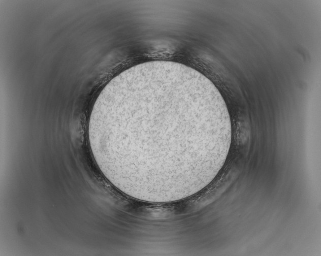 X0000115230370200911131648