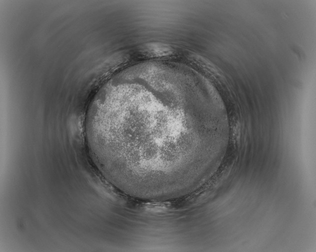 X0000115230373200911131648