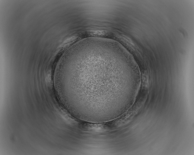 X0000115230377200911131649