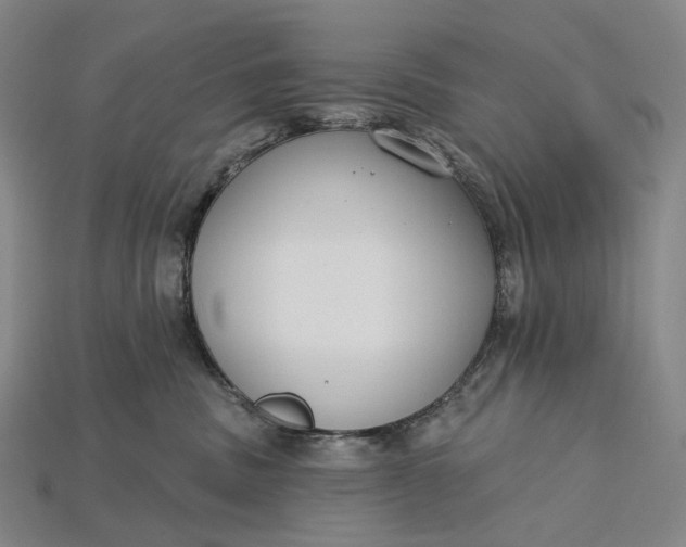 X0000115230379200911131649