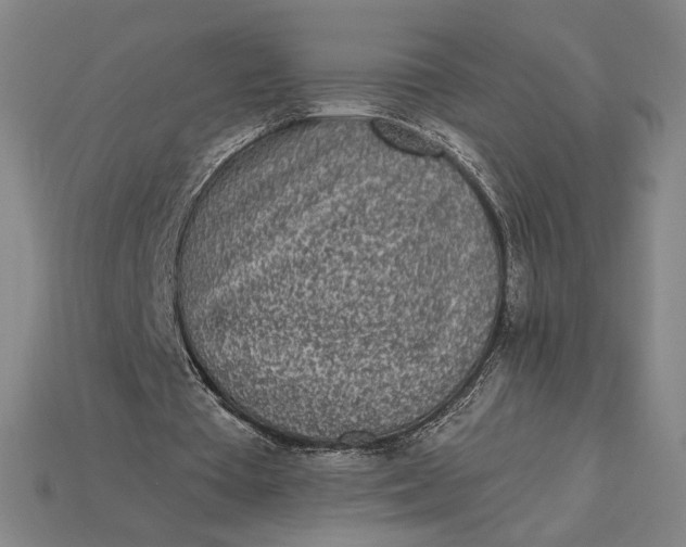 X0000115230385200911131648