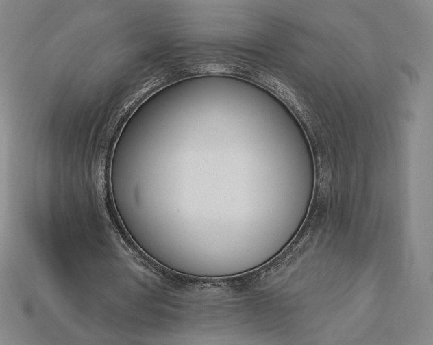 X0000115230386200911131648