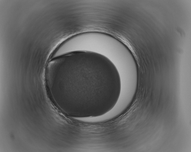 X0000115230387200911131648