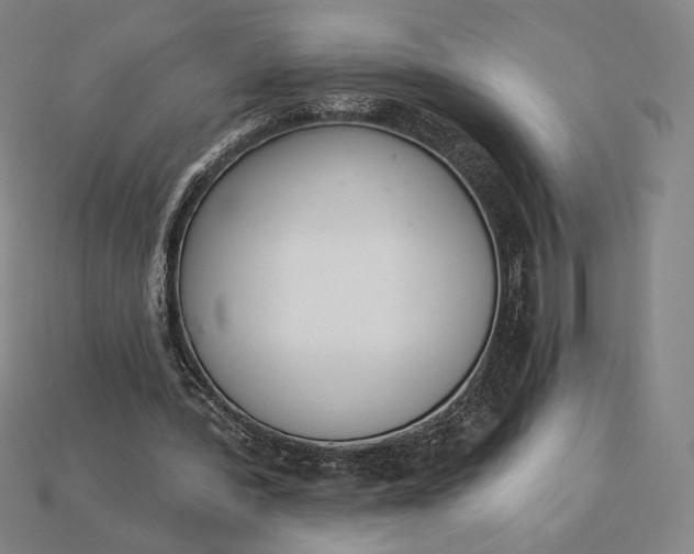 X0000115230388200911131648