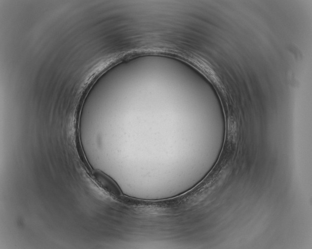 X0000115230389200911131648