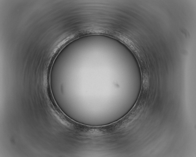 X0000115230390200911131648