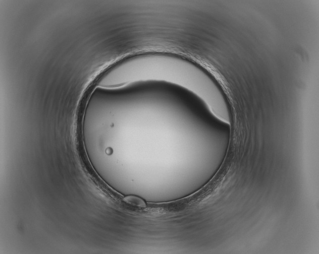 X0000115230391200911131648