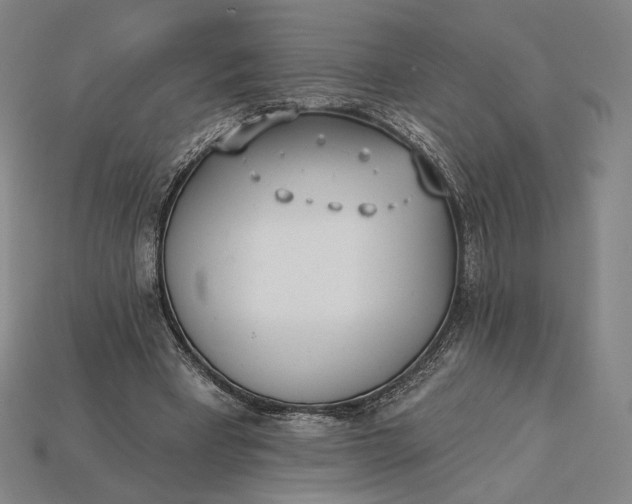 X0000115230393200911131648