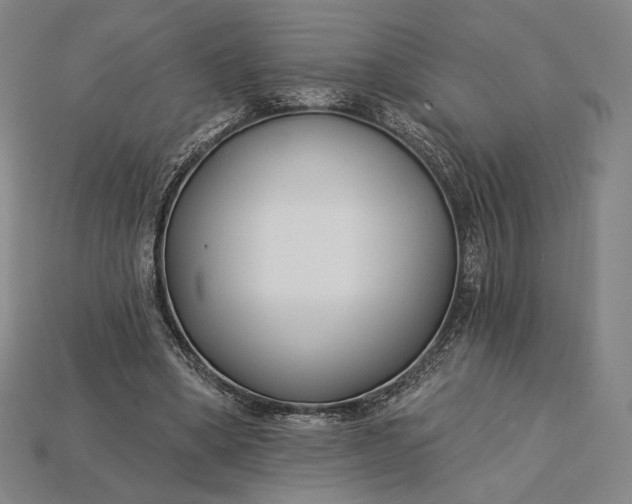 X0000115230394200911131648