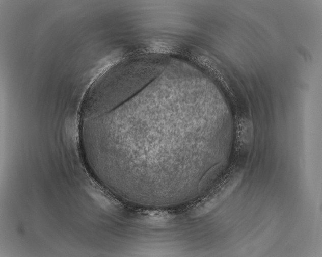 X0000115230395200911131648