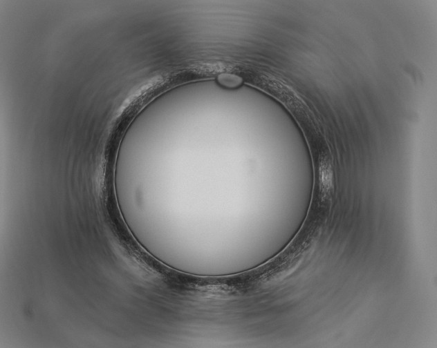 X0000115230396200911131648