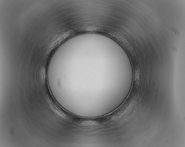 X0000115230397200911131648