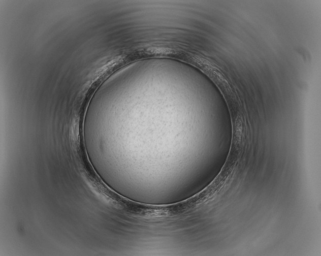 X0000115230398200911131648