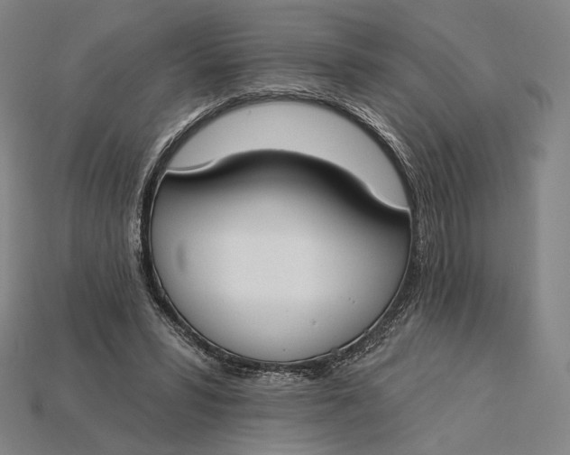 X0000115230399200911131648