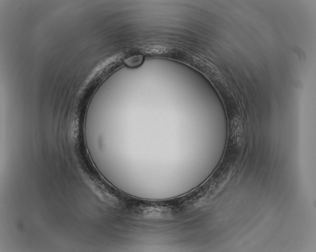 X0000115230400200911131648