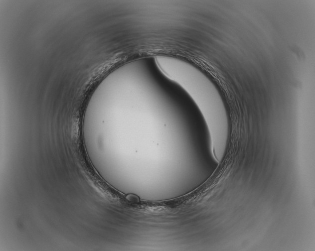 X0000115230401200911131648