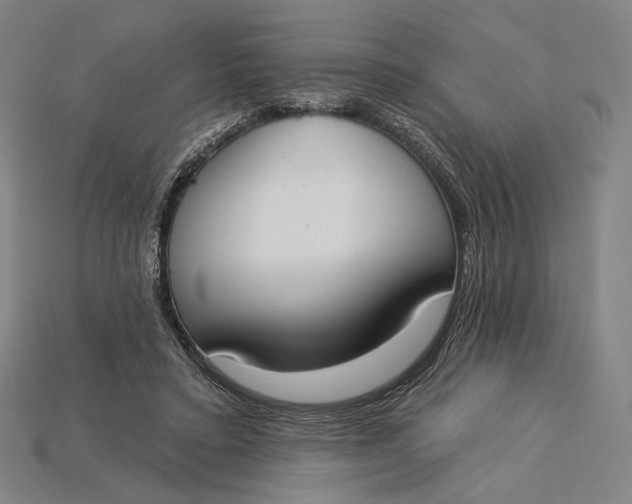 X0000115230403200911131648