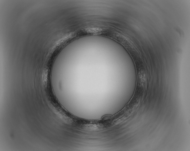 X0000115230404200911131648