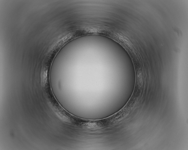 X0000115230406200911131648