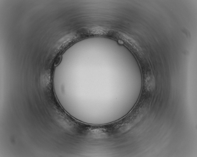 X0000115230407200911131648