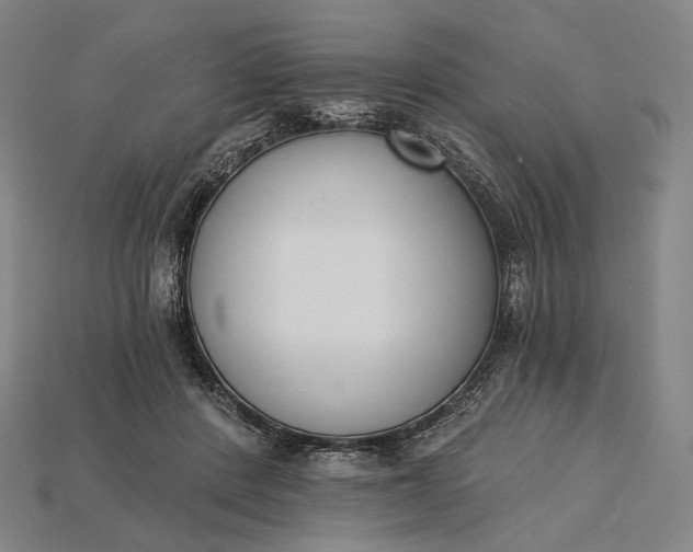 X0000115230408200911131648