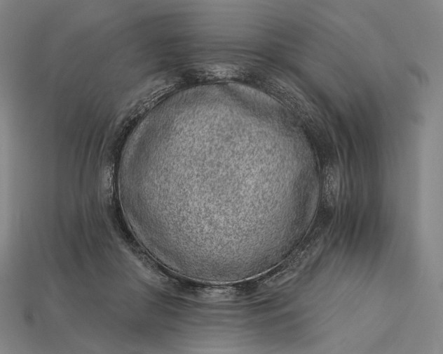 X0000115230410200911131648