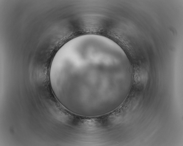 X0000115230411200911131647