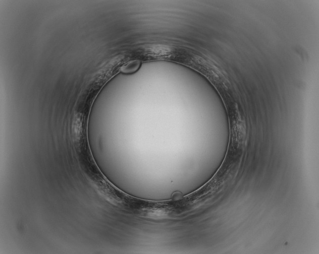 X0000115230412200911131647