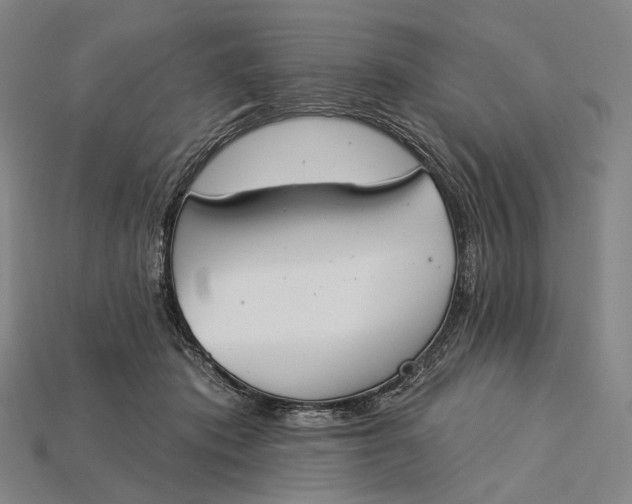 X0000115230413200911131647