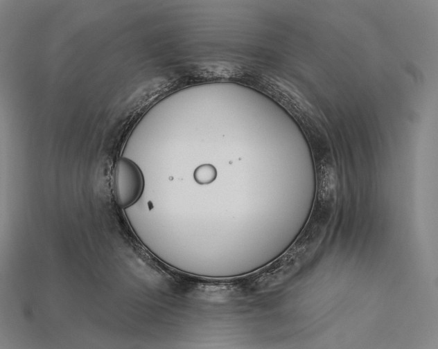 X0000115230414200911131647