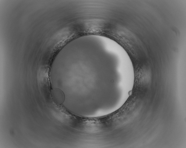 X0000115230415200911131647