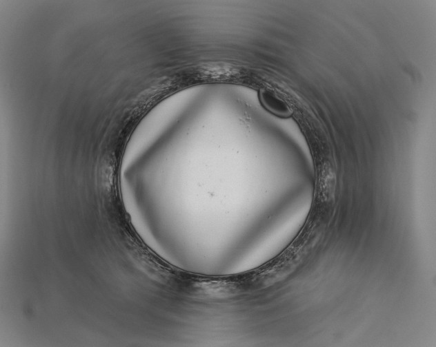 X0000115230417200911131647