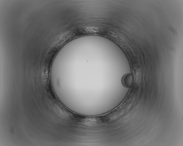 X0000115230418200911131647