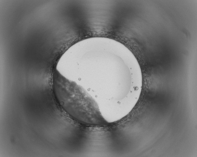 X0000115230419200911131647