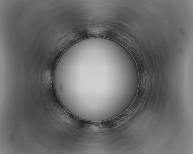 X0000115230420200911131647