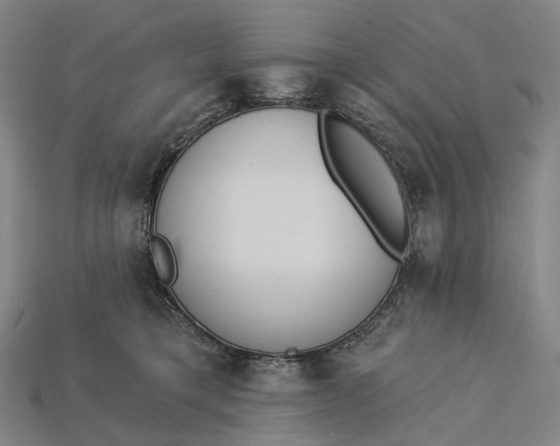 X0000115230421200911131647