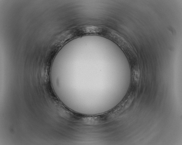 X0000115230422200911131647