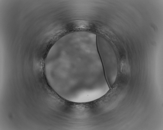 X0000115230423200911131647