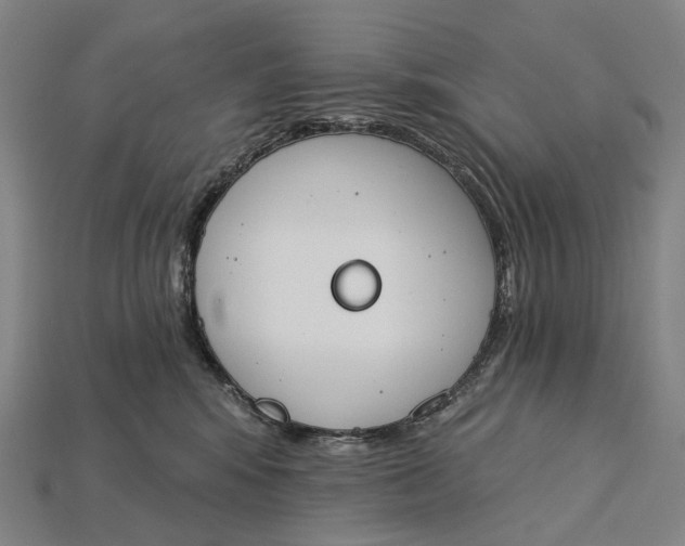 X0000115230424200911131647